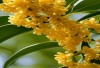 ​很有内涵搞笑精辟逗比的句子