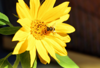 ​搞笑段子短句文字