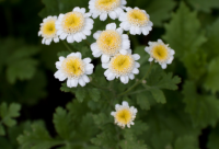 ​话的精短搞笑语句