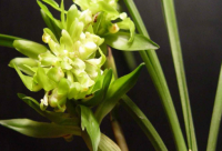 ​幽默段子大全爆笑简短 一句话的简短搞笑段子