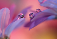 ​离别搞笑的句子 和最好朋友告别的话