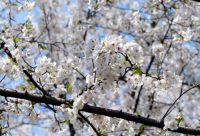 ​2025年愚人节搞笑语句大全