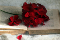 ​2025年最搞笑的笑话