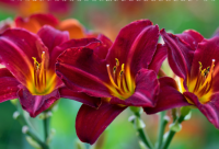 ​简短爆笑的搞笑对话段子