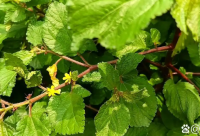 ​一些比较搞笑的话语