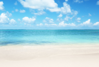 ​2025超搞笑的一句话笑话