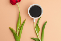 ​搞笑句子摘抄