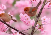 ​让人爆笑的风趣搞笑句子