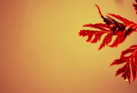 ​搞笑话语 思想有多远,你就给我滚多远