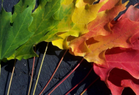 ​关于沙雕搞怪的自我介绍 把人笑死的自我介绍