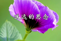 ​微信拍一拍搞笑个性文字