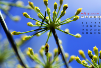 ​自夸的搞笑句子