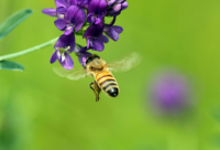 ​2025年最新的搞笑笑话