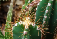 ​2025过年搞笑吉祥话