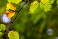 ​搞笑小故事逗人开心2-3分钟