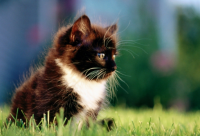 ​考试的搞笑句子