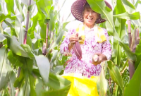 ​连续下雨的搞笑段子