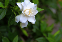 ​很无厘头的搞笑幽默句子