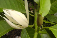 ​搞笑句子可能会笑死人