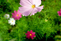 ​搞笑而有深度的话