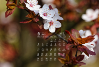 ​最幽默笑死人的爆笑短句 让人笑喷的搞笑语句