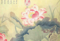 ​幽默风趣搞笑的毒鸡汤