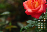 ​搞笑的早安问候语 美好的早安问候语