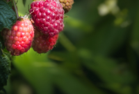 ​搞笑感人的话