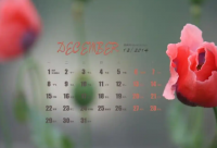 ​最逗比搞笑的一段话