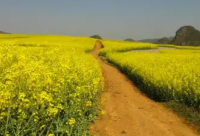 ​幽默搞笑的短句