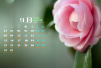 ​2025年的搞笑语句笑死人