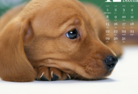 ​很是犀利的搞笑毒鸡汤