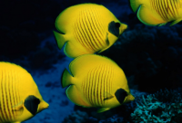 ​开心2025让人乐翻天的搞笑