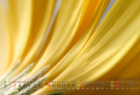 ​搞笑幽默的毒鸡汤