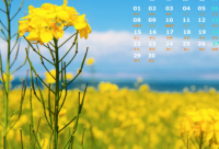 ​逗逼搞笑的语句