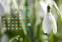 ​真实搞笑的毒鸡汤