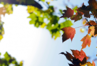 ​非常搞笑的雷人文案