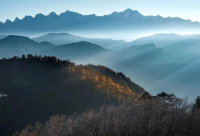 ​感觉没依靠的伤感说说