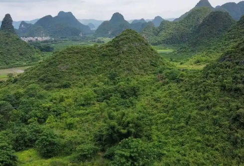 1756711630137916.png image.png