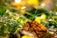 ​再见的文案短句(和过去说再见的文案短句)