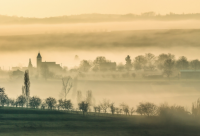 ​2025年搞笑说说最新81句