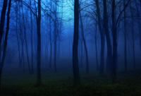 ​高考结束后的心情说说48句