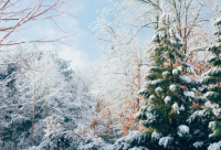 ​说说冷漠44句