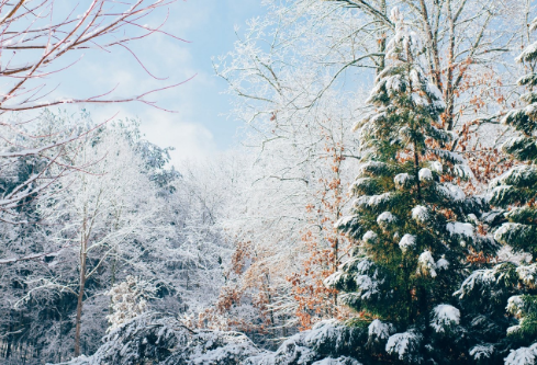 1756712464109804.png image.png