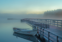 ​单身的说说83句