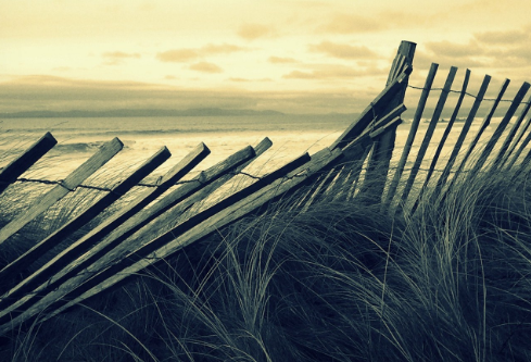 1756713132761662.png image.png