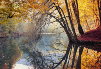 ​凡事不可强求的说说