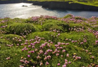 ​无奈伤感空间心情说说82句