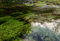 ​qq空间思念的心情说说84句