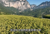 ​经典伤感qq说说83句